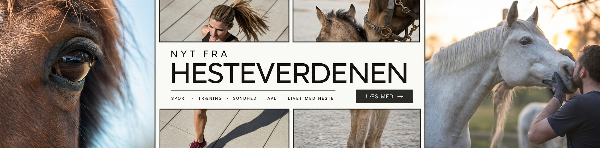 Nyt fra hesteverdenen – topbanner